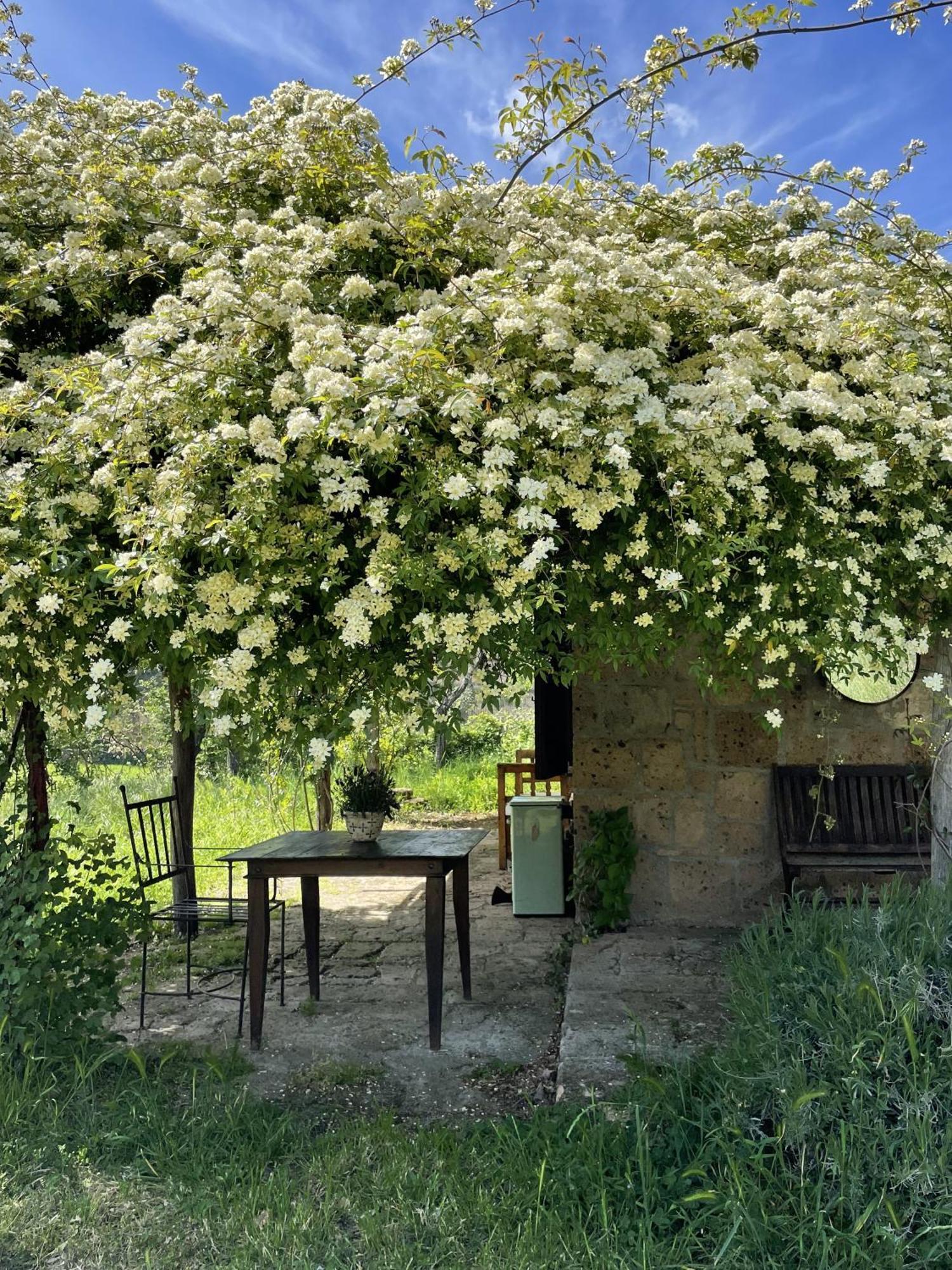 Agriturismo Locanda Settimo Cielo Lubriano Exteriör bild