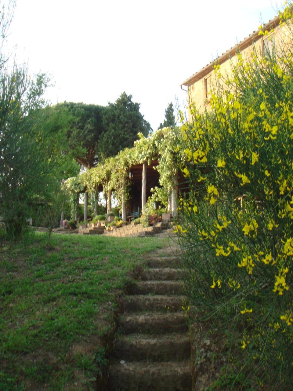 Agriturismo Locanda Settimo Cielo Lubriano Exteriör bild